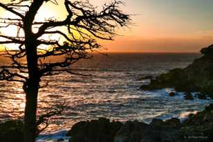 17 Mile Drive Silhouette-0176